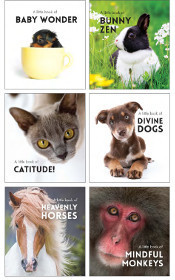 Affirmations and Gift Books